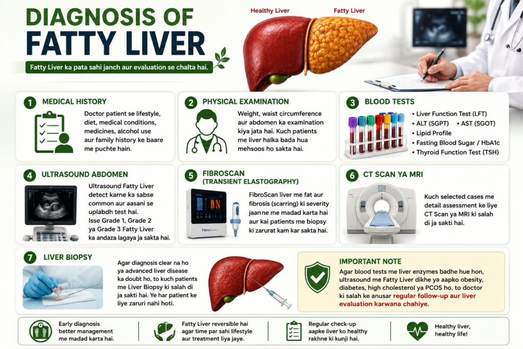 Diagnosis of fatty liver including liver function test ultrasound fibroscan blood tests and liver biopsy